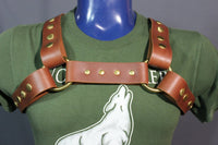 Classic Latigo Bulldog Harness with Snaps - front view