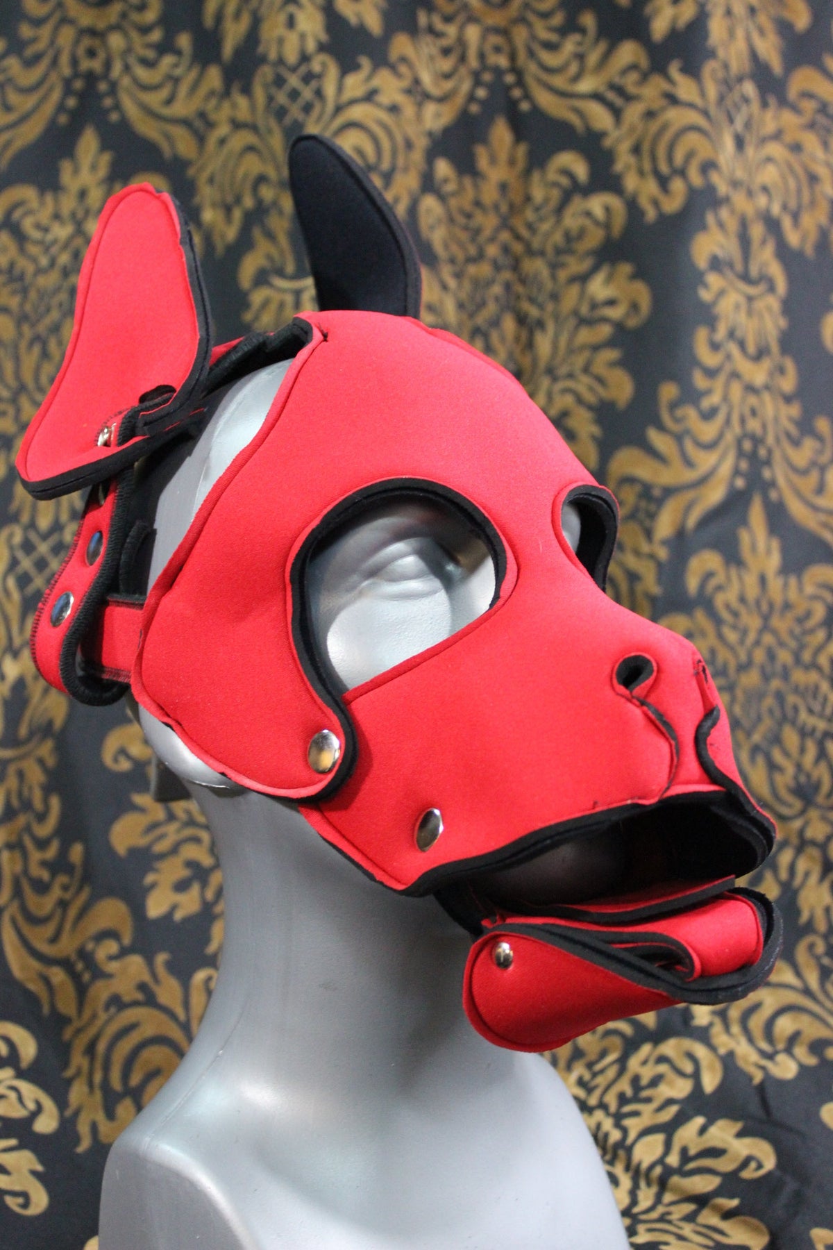 Pupskinz Two Toned Reversible Neoprene Husky Hood - view 4