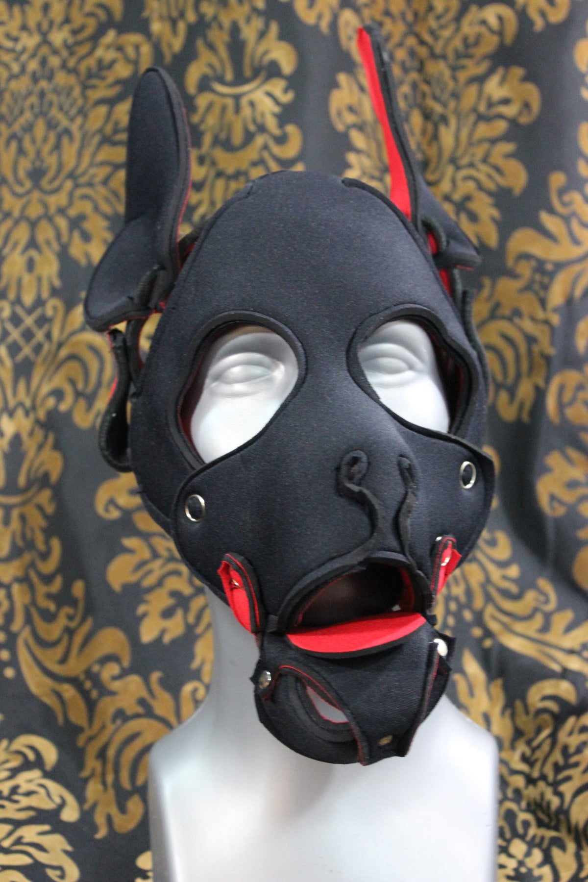 Pupskinz Two Toned Reversible Neoprene Husky Hood - view 3