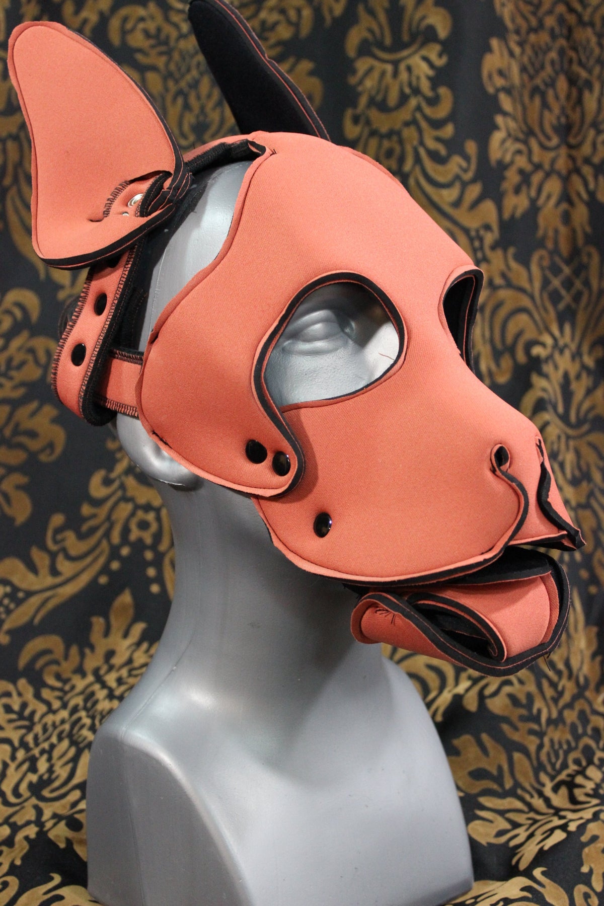 Pupskinz Two Toned Reversible Neoprene Husky Hood - view 8