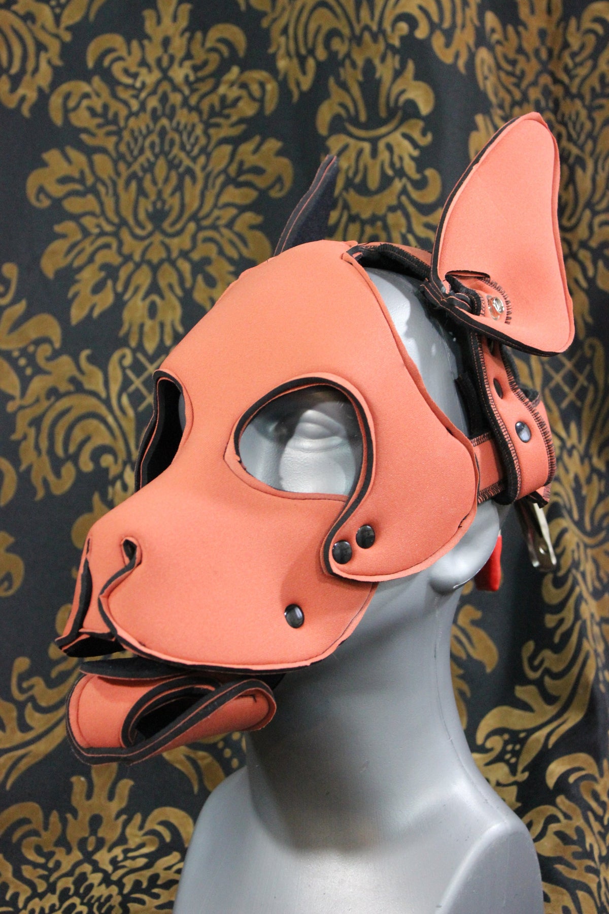 Pupskinz Two Toned Reversible Neoprene Husky Hood - view 9