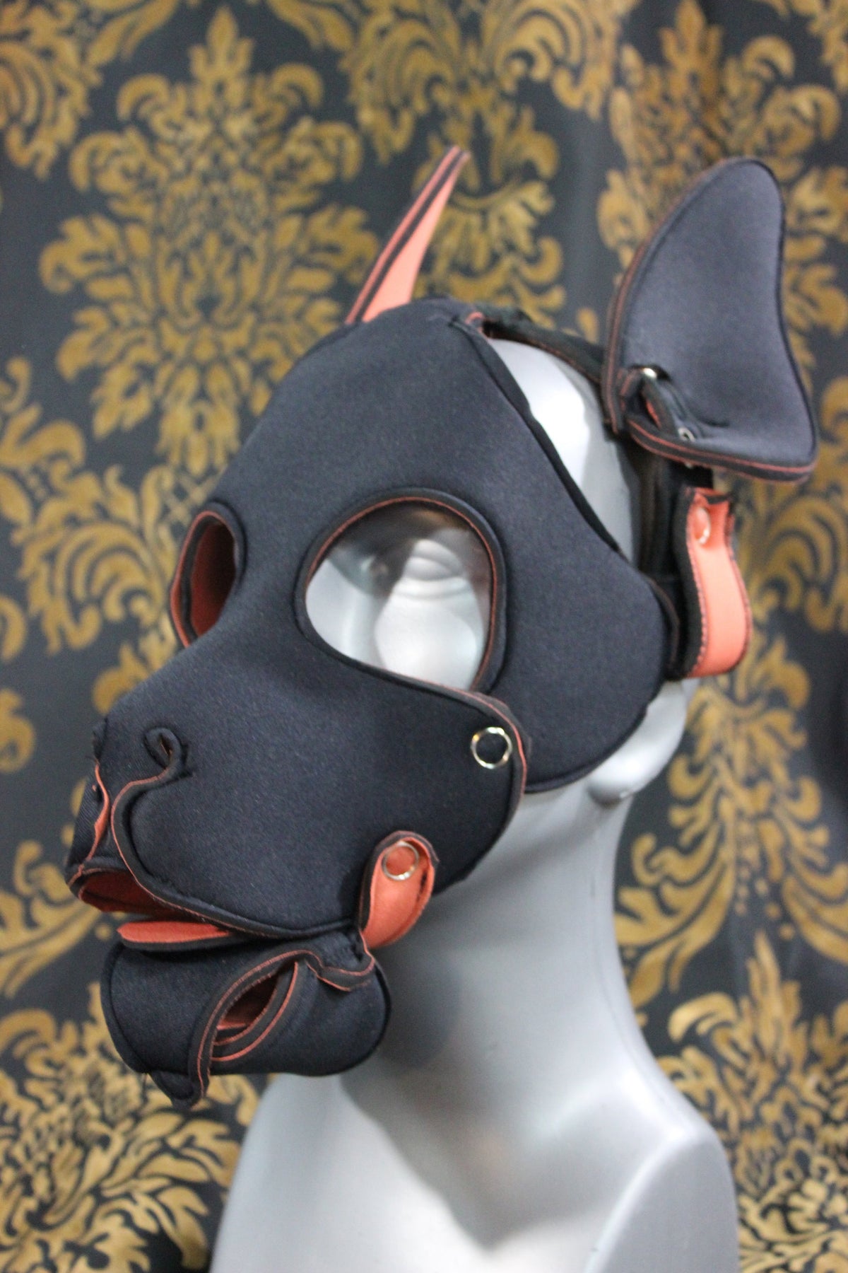 Pupskinz Two Toned Reversible Neoprene Husky Hood - view 11