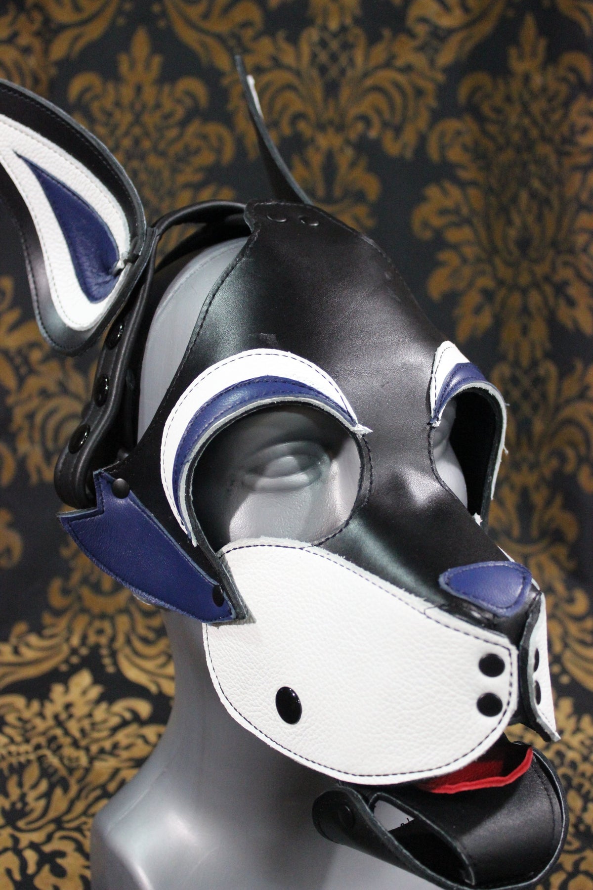 Husky style Pup Hood with Blue highlights - front view