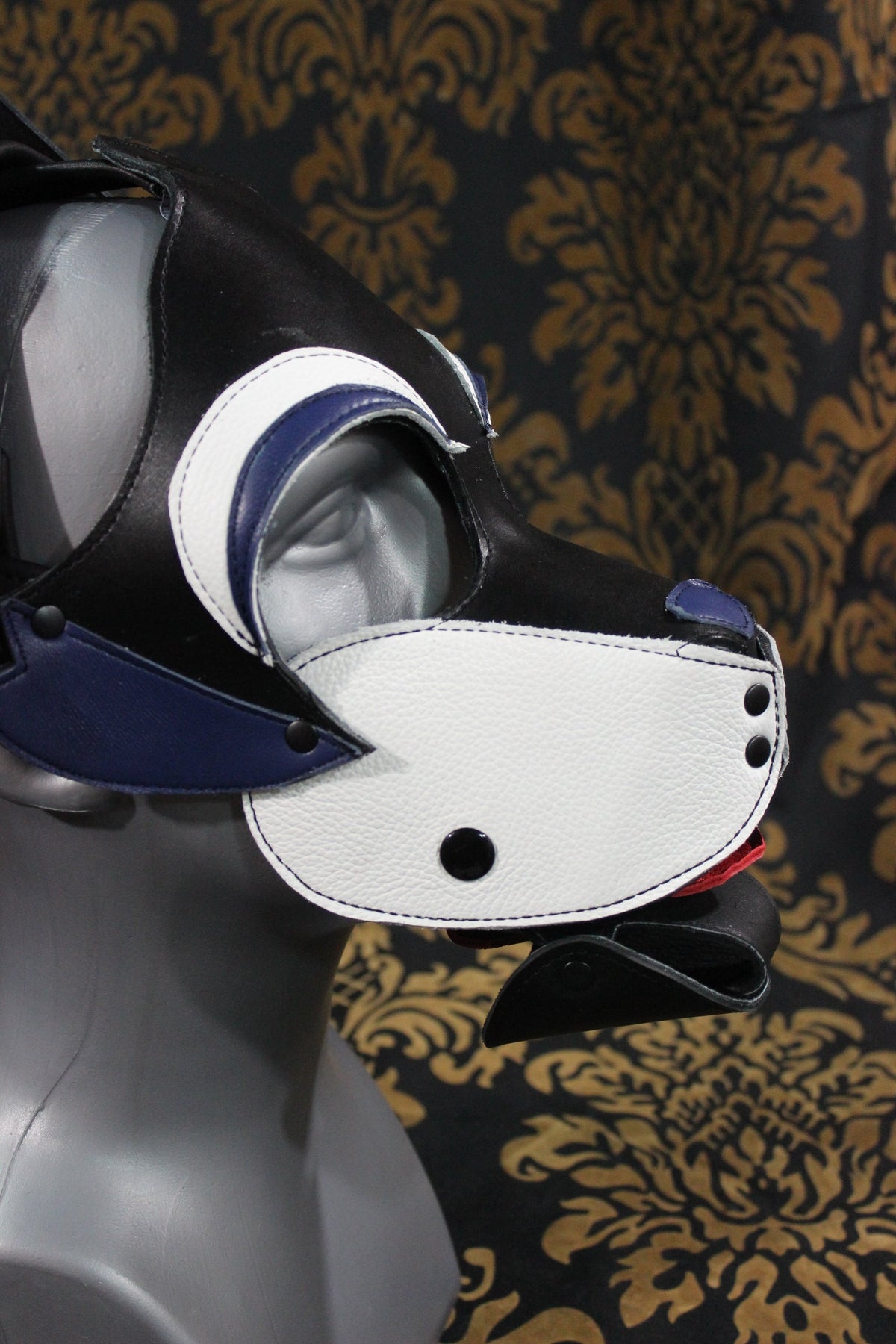 Husky style Pup Hood with Blue highlights - view 13