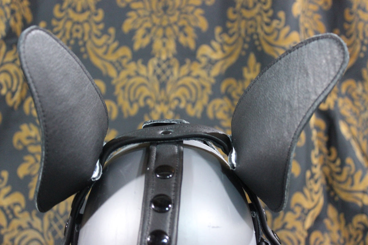 Husky style Pup Hood with Blue highlights - view 15