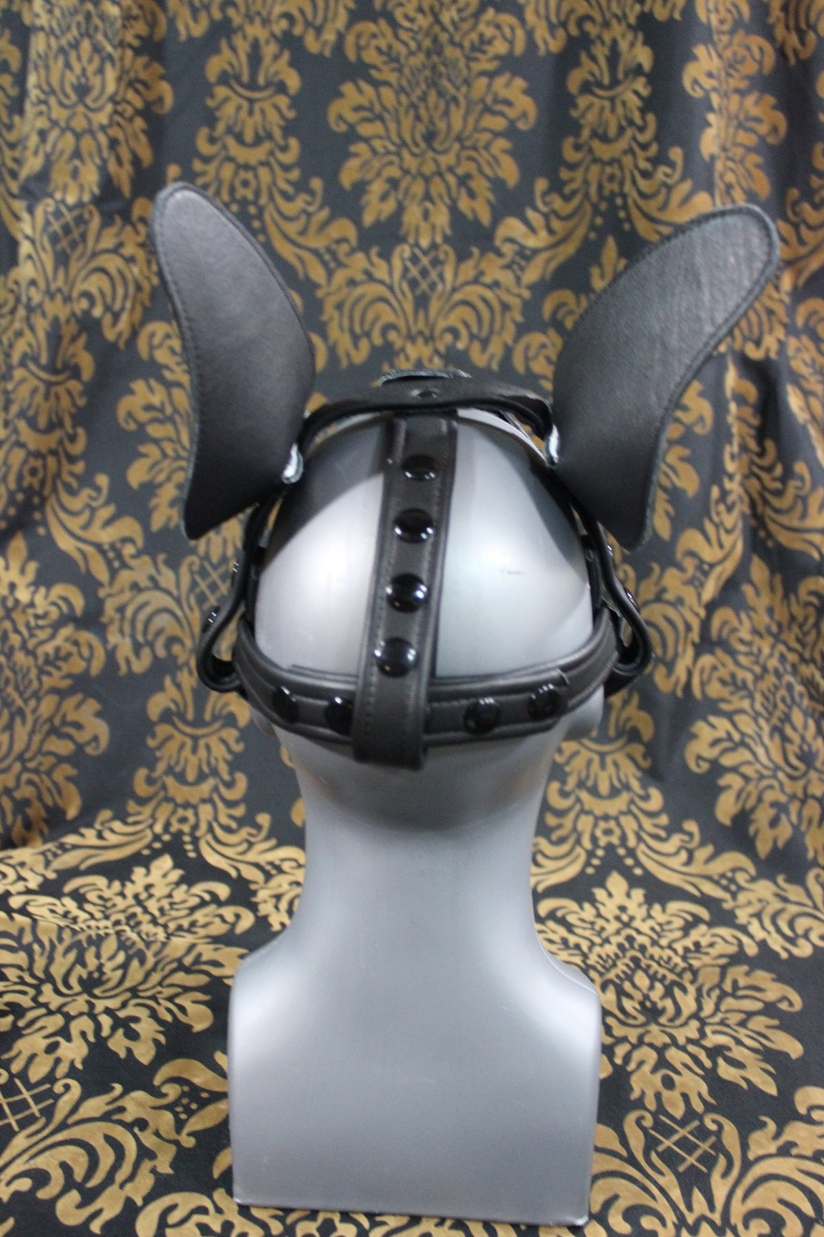 Husky style Pup Hood with Blue highlights - view 17