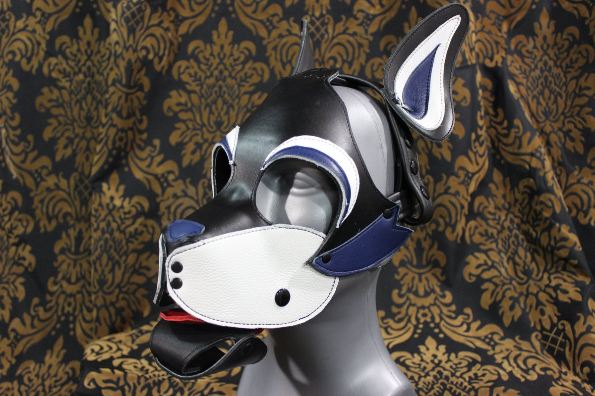 Husky style Pup Hood with Blue highlights - view 19