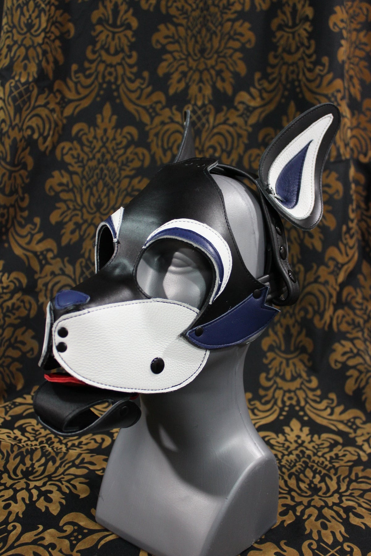 Husky style Pup Hood with Blue highlights - view 20
