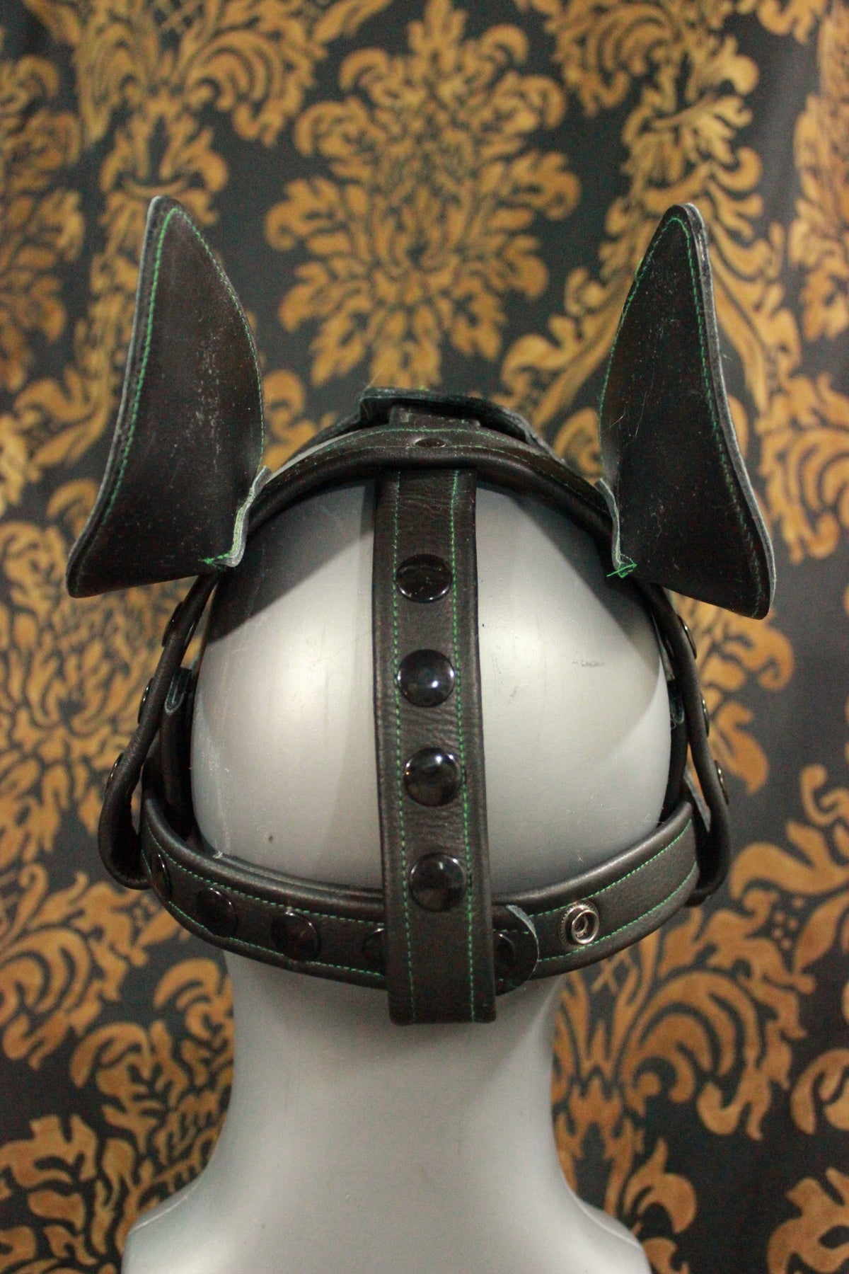 Bull Terrier Style Pup Hood - view 16