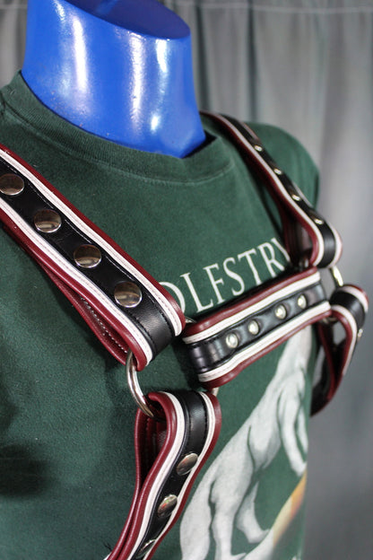 Three-Tone Bulldog Harness - view 3