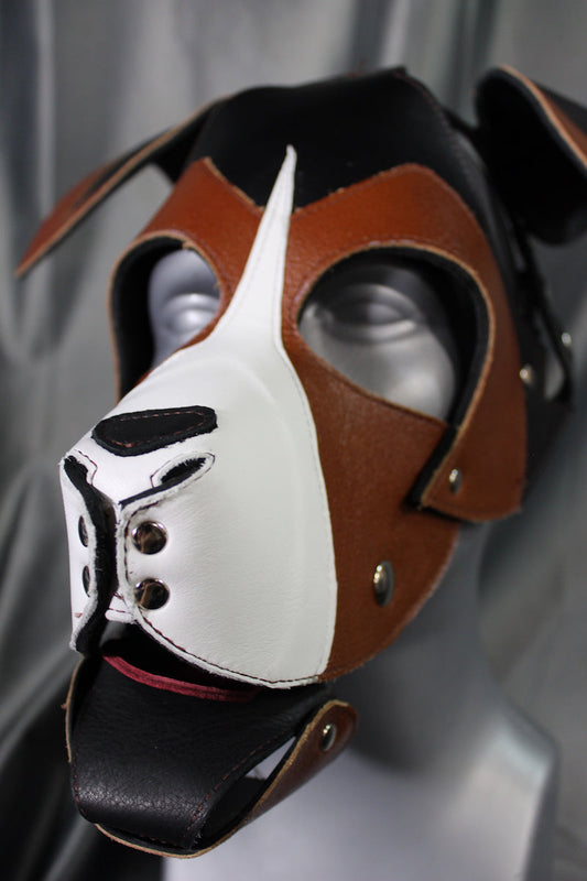 Jack Russell Pup Hood - front view