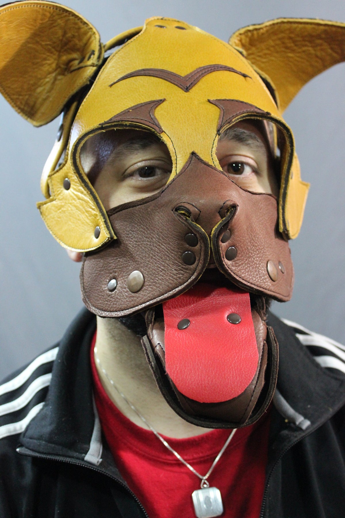 Pug Style Pup Hood - front view