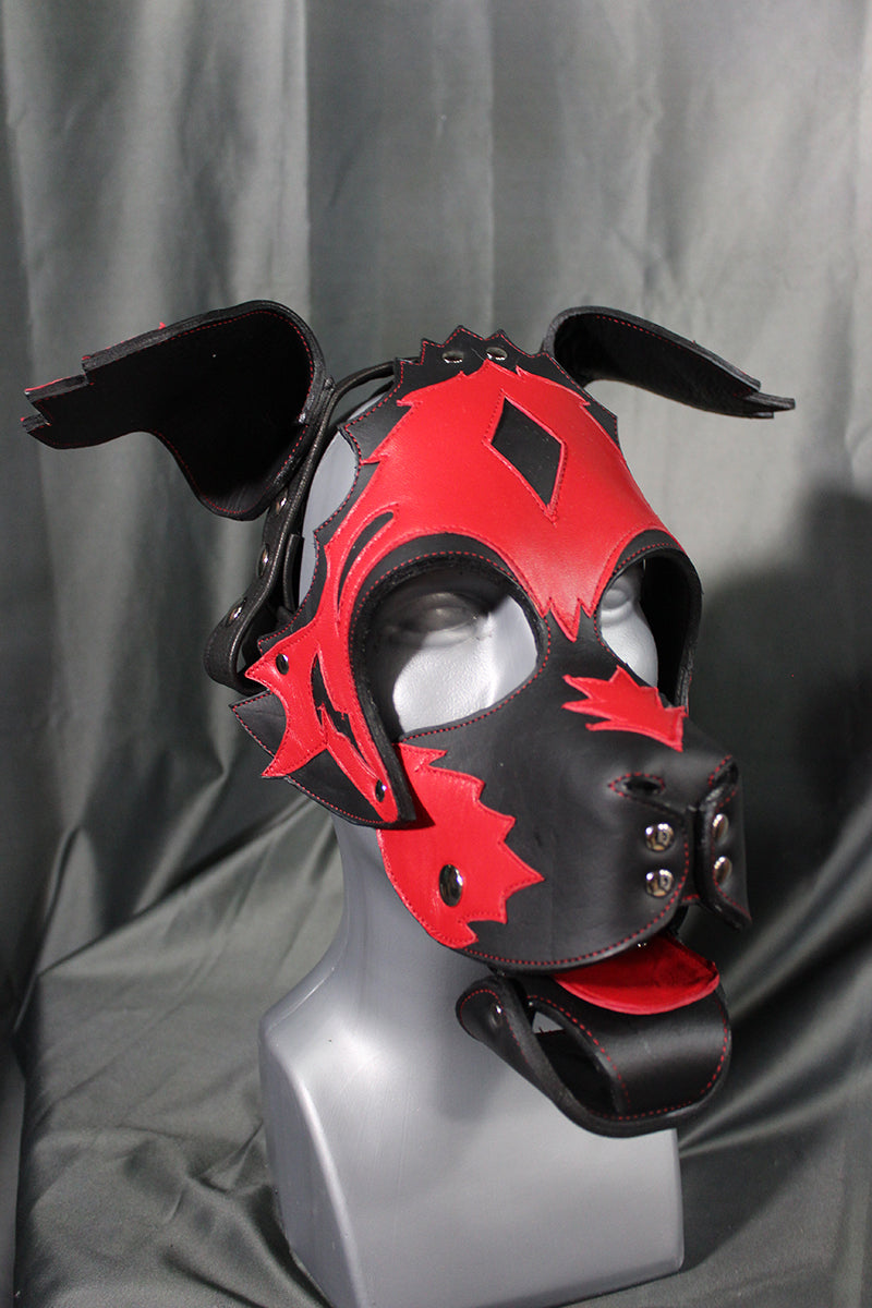 Scruffy Diamond Pup Hood - front view