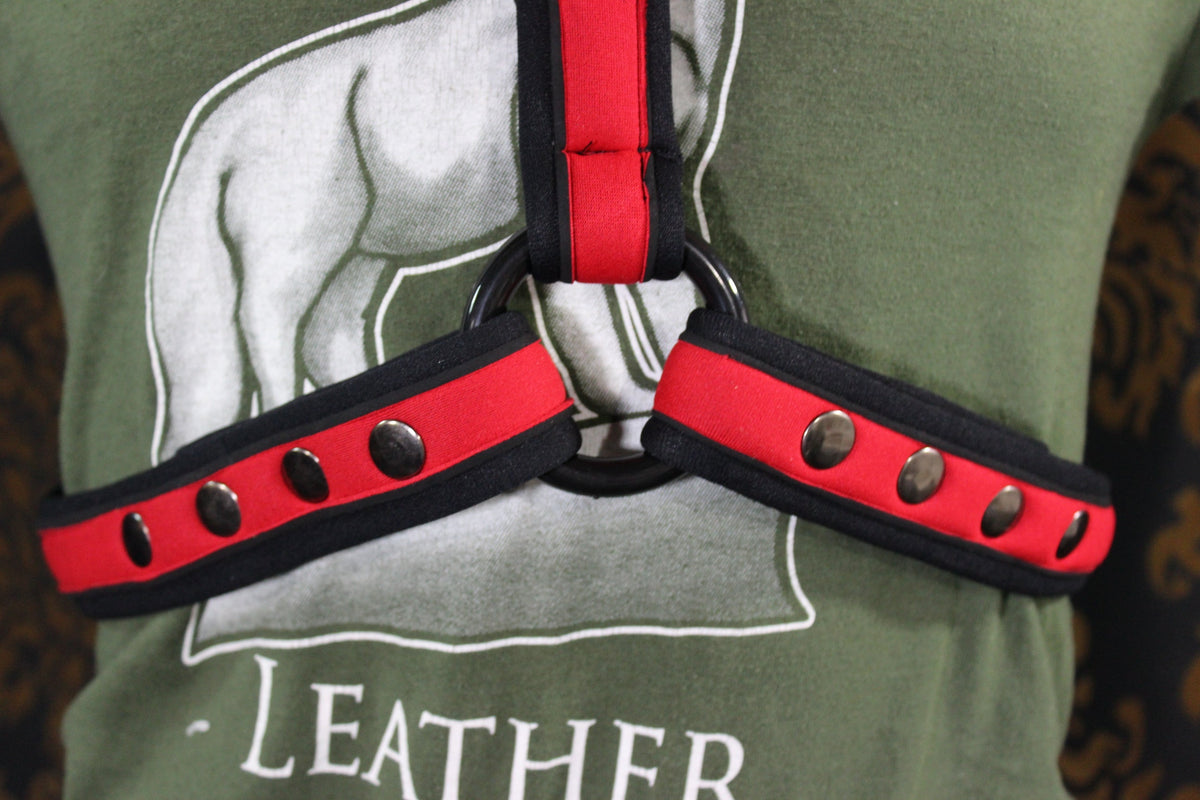 Neoprene Two-Toned Extended X Harness - view 4