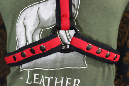 Neoprene Two-Toned Extended X Harness - view 4
