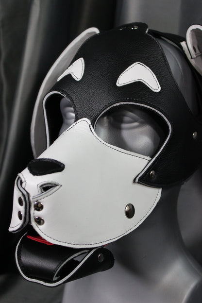 Basset Hound Style Pup Hood in Black and White - view 4