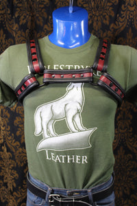 Two-Tone Bulldog Harness - front view