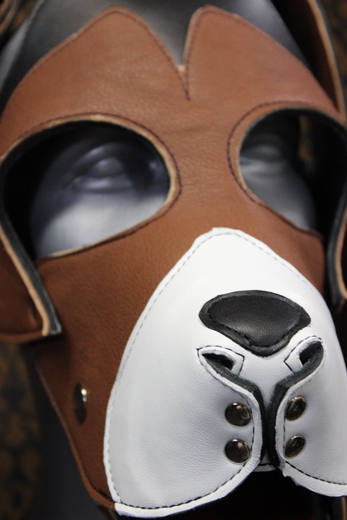 Basset Hound Style Pup Hood in Black, Tan, and White - view 2