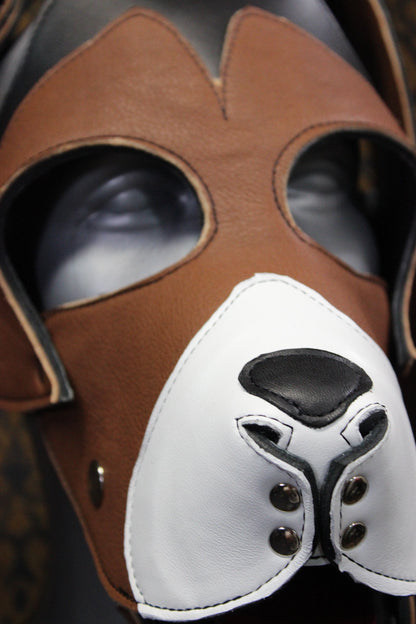 Basset Hound Style Pup Hood in Black, Tan, and White - view 2