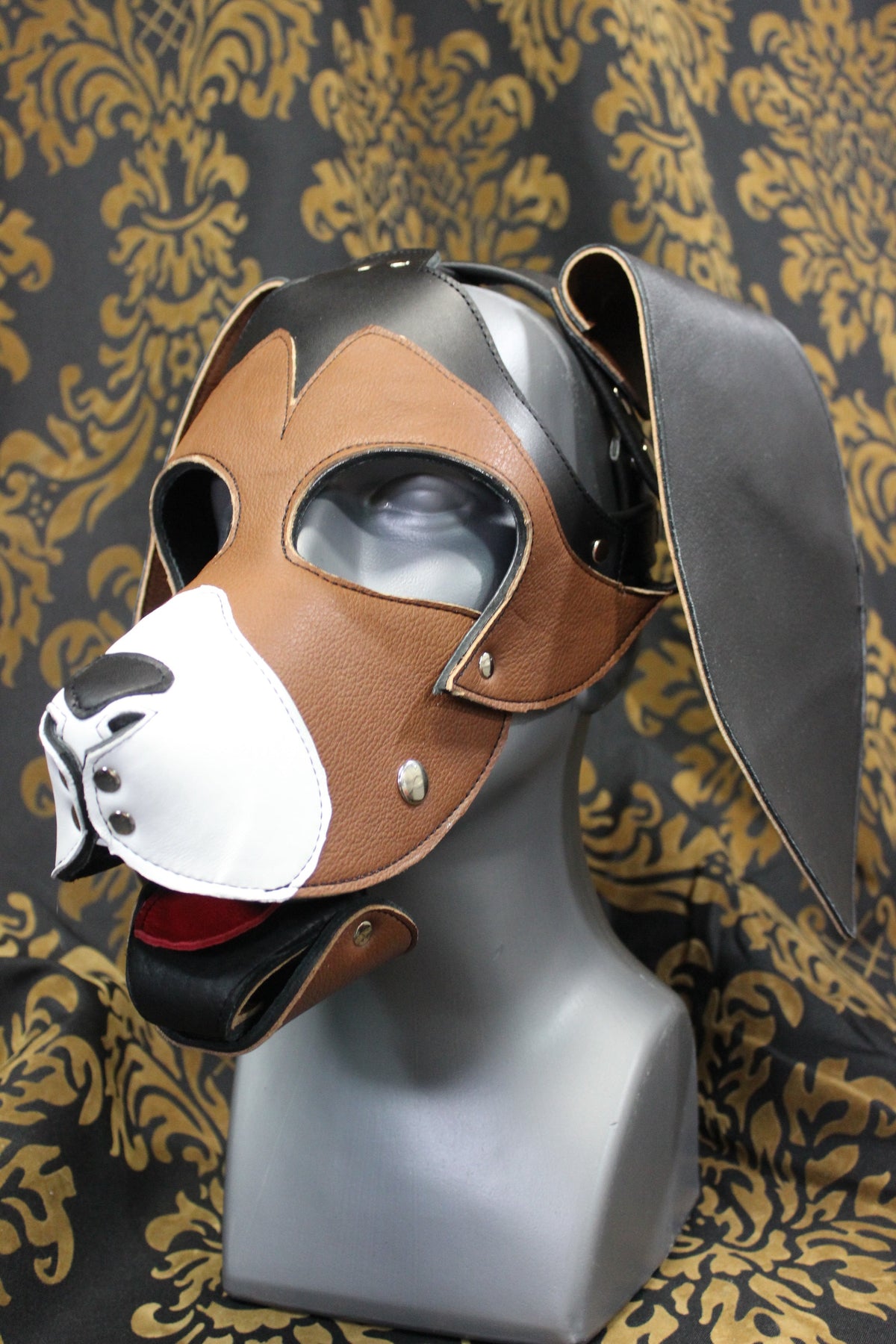 Basset Hound Style Pup Hood in Black, Tan, and White - front view