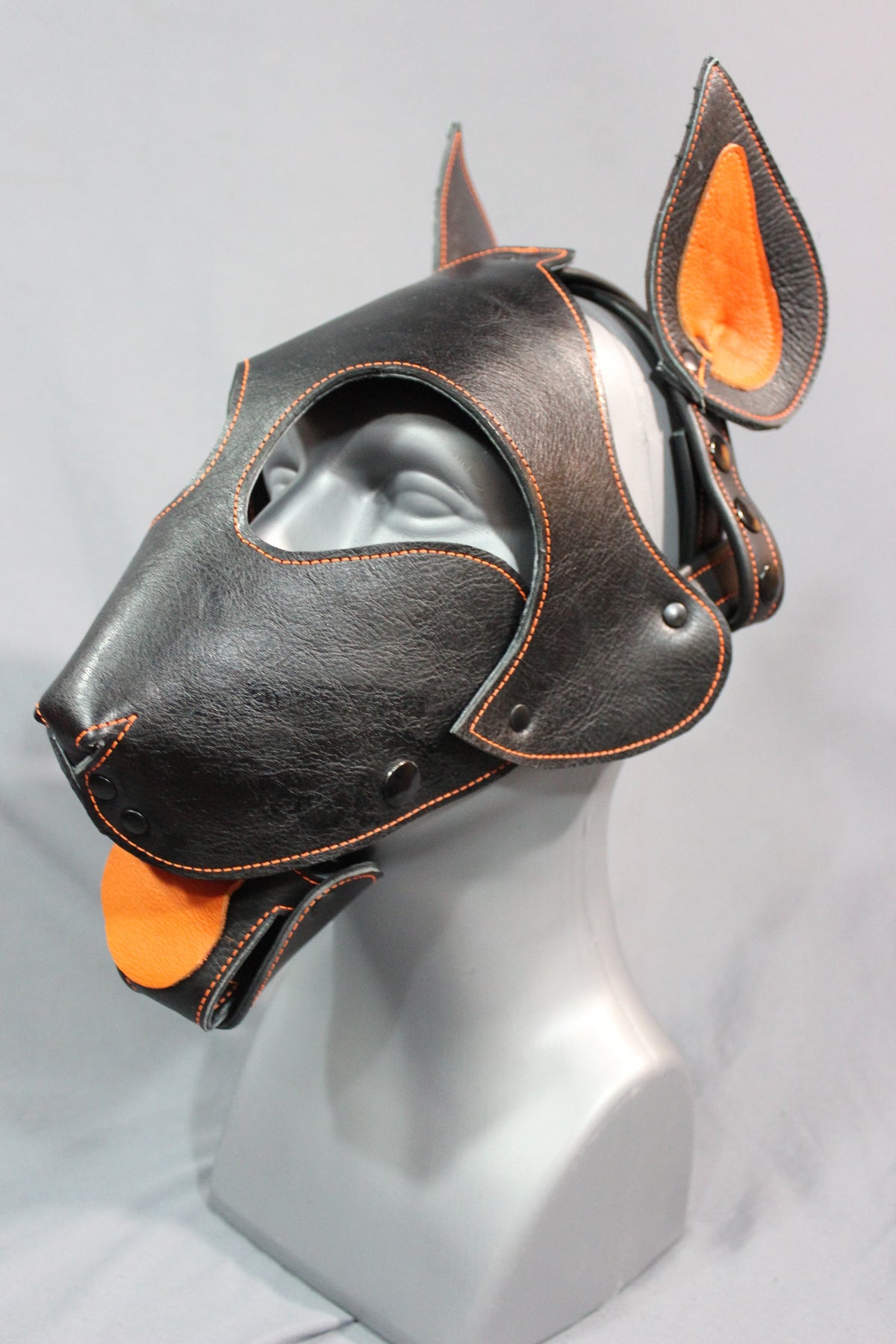 Bull Terrier Style Pup Hood - front view