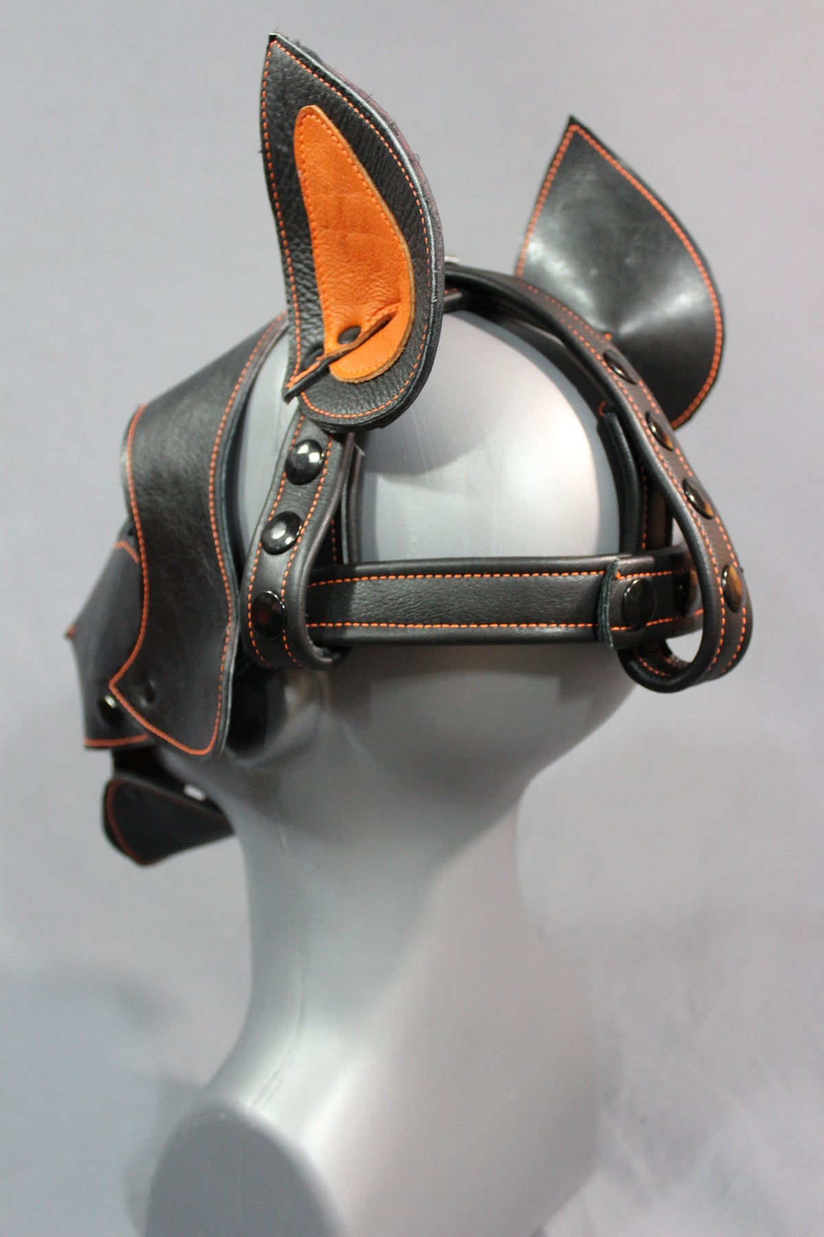 Bull Terrier Style Pup Hood - view 5