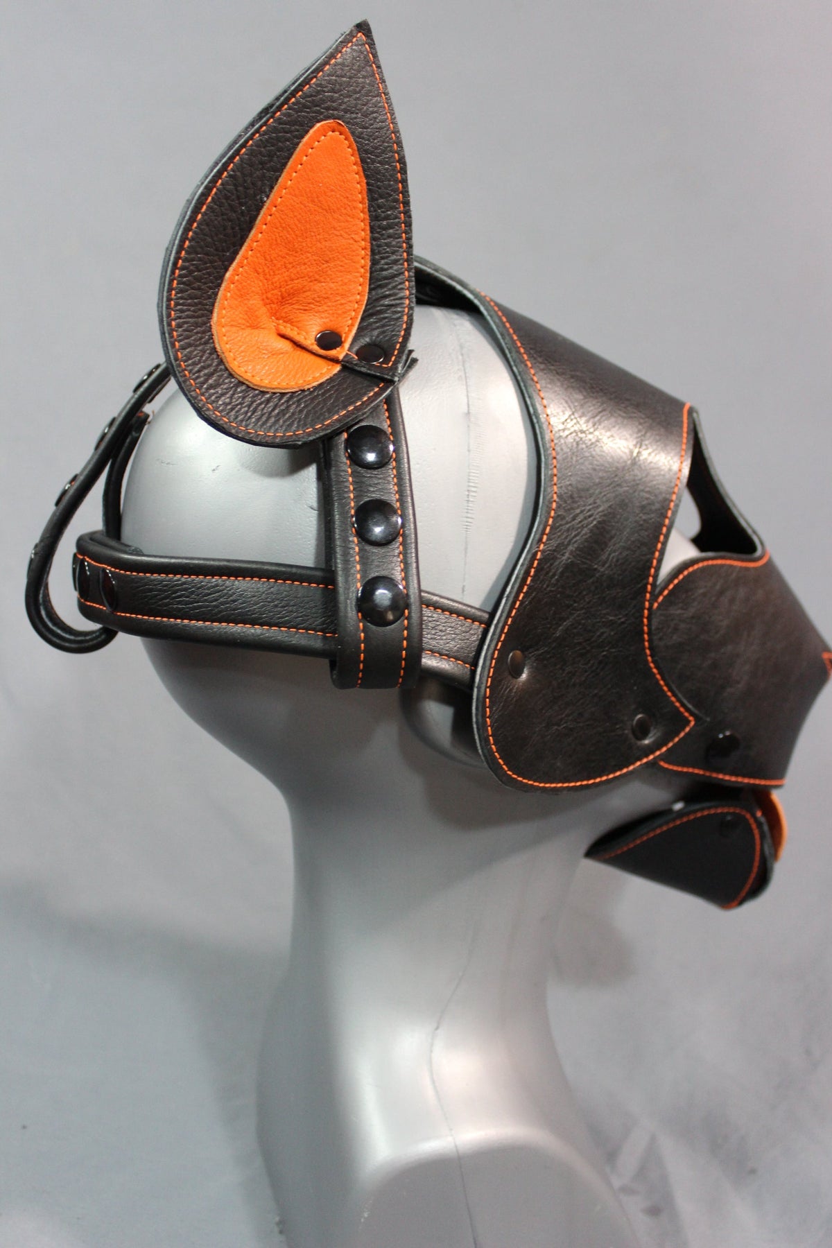 Bull Terrier Style Pup Hood - view 8