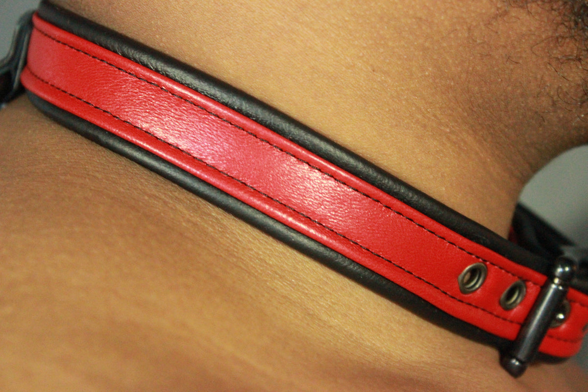 Locking Two Tone Collar - Top Stripe Construction - view 8