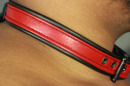 Locking Two Tone Collar - Top Stripe Construction - view 8