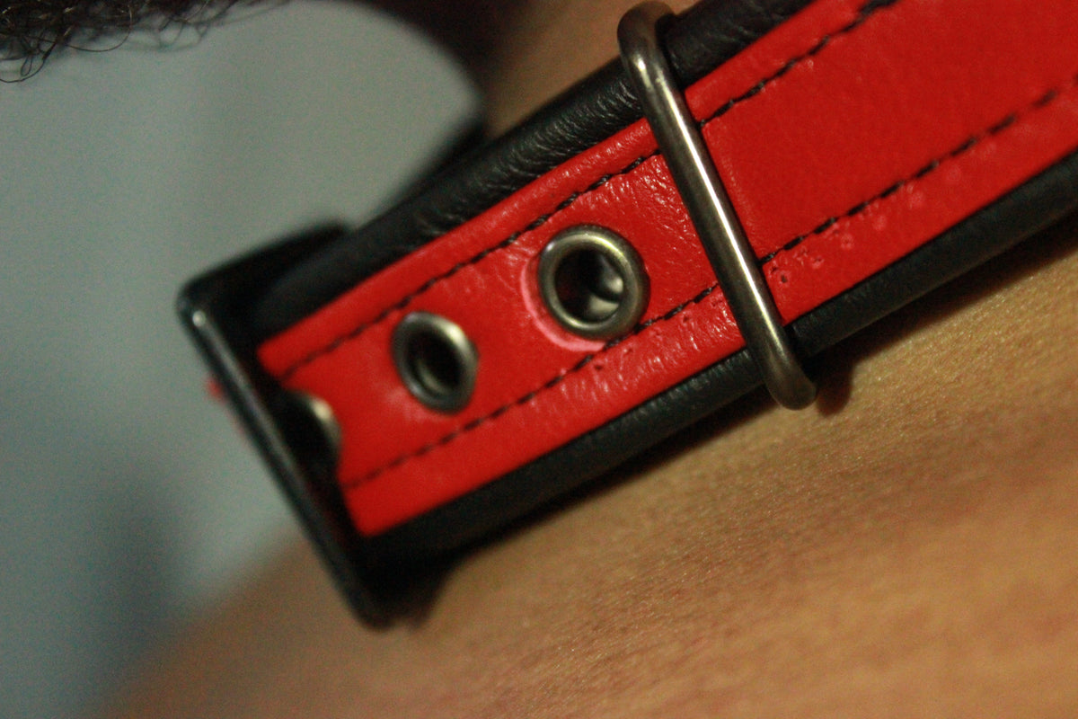 Two Tone Collar - Top Stripe Construction - view 6