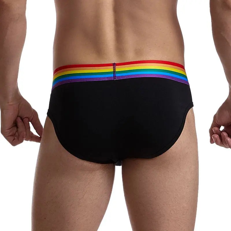 Rainbow Brief - view 2