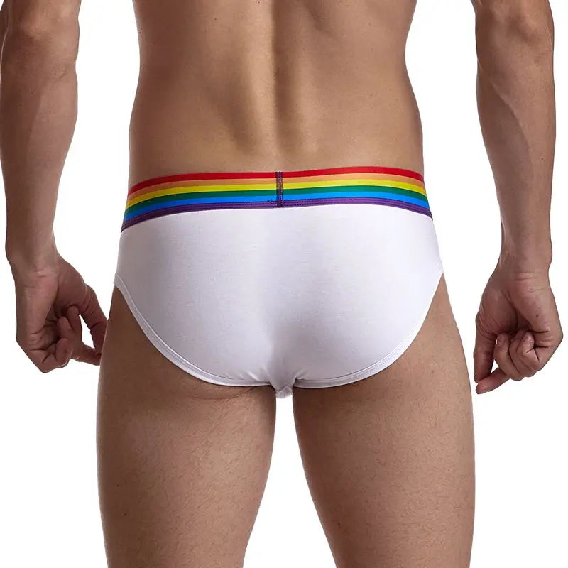 Rainbow Brief - view 3