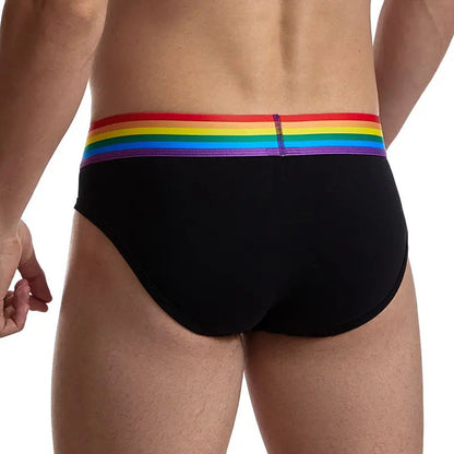 Rainbow Brief - view 4
