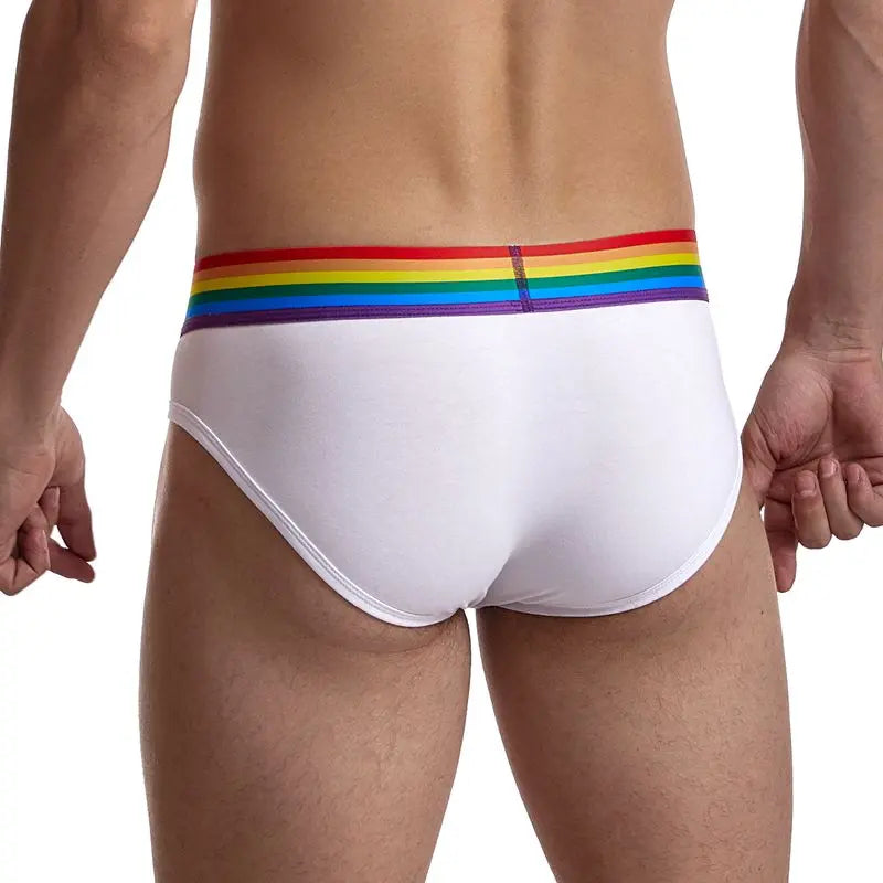 Rainbow Brief - view 10