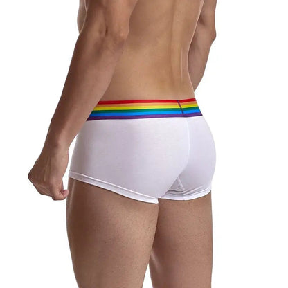 Rainbow Trunk - view 5