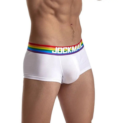 Rainbow Trunk - view 6