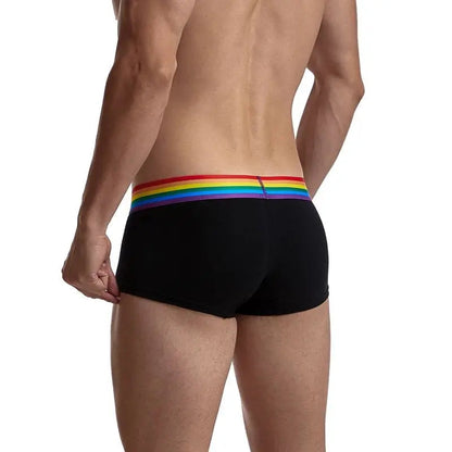 Rainbow Trunk - view 7