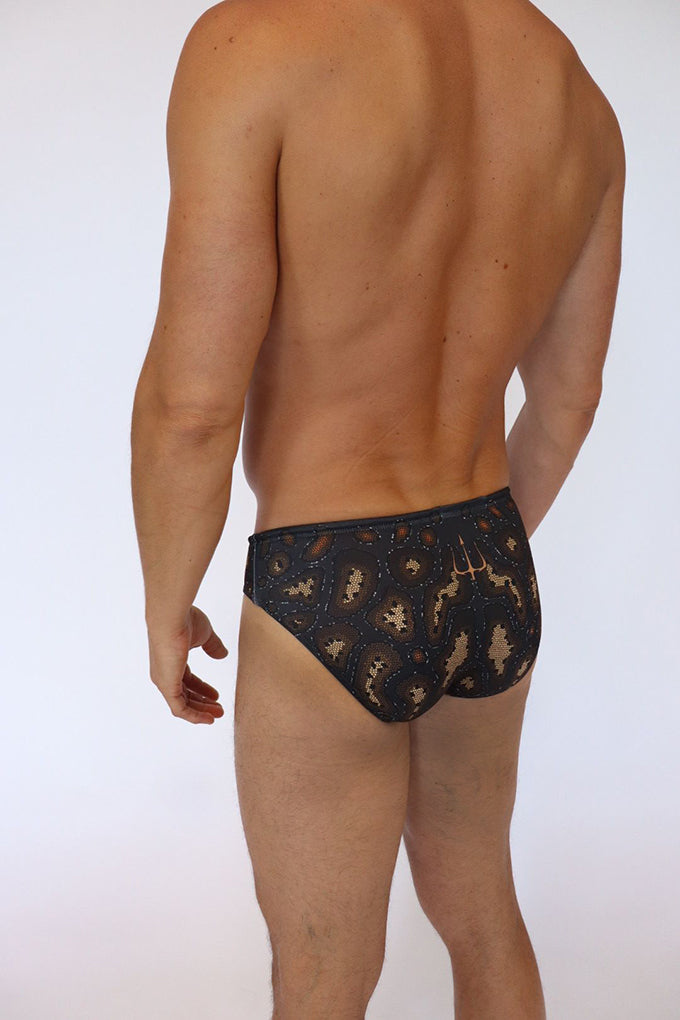 FAST EDDIE SWIM BRIEF