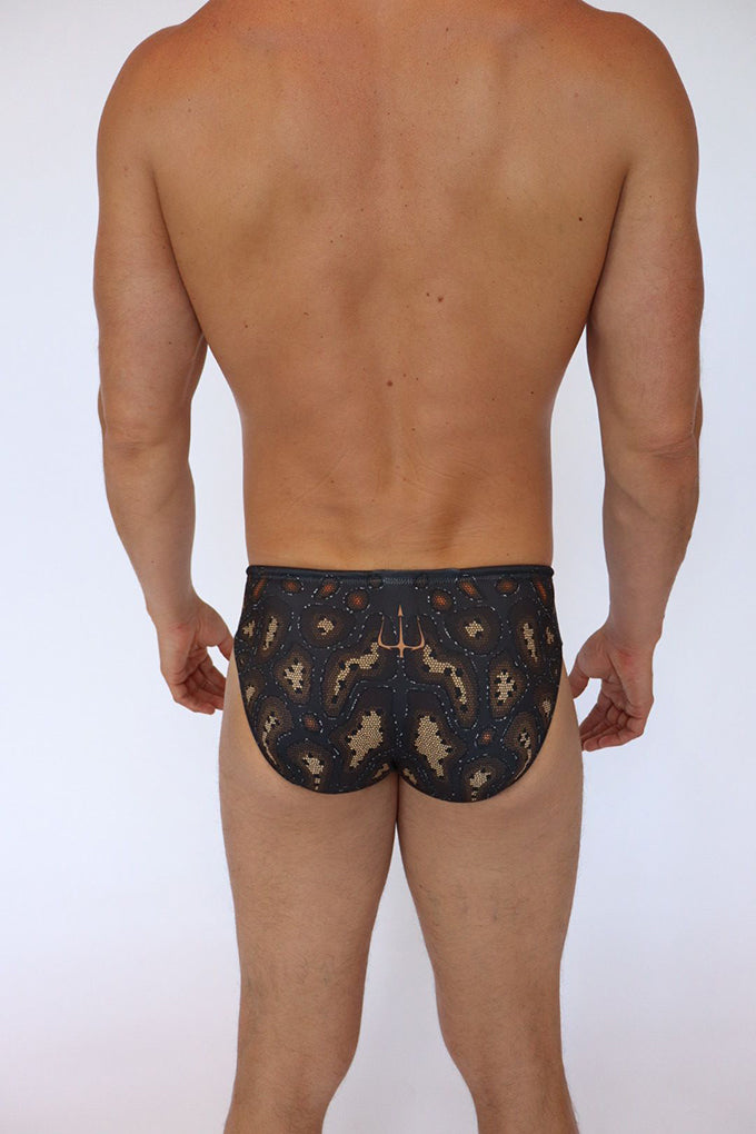FAST EDDIE SWIM BRIEF