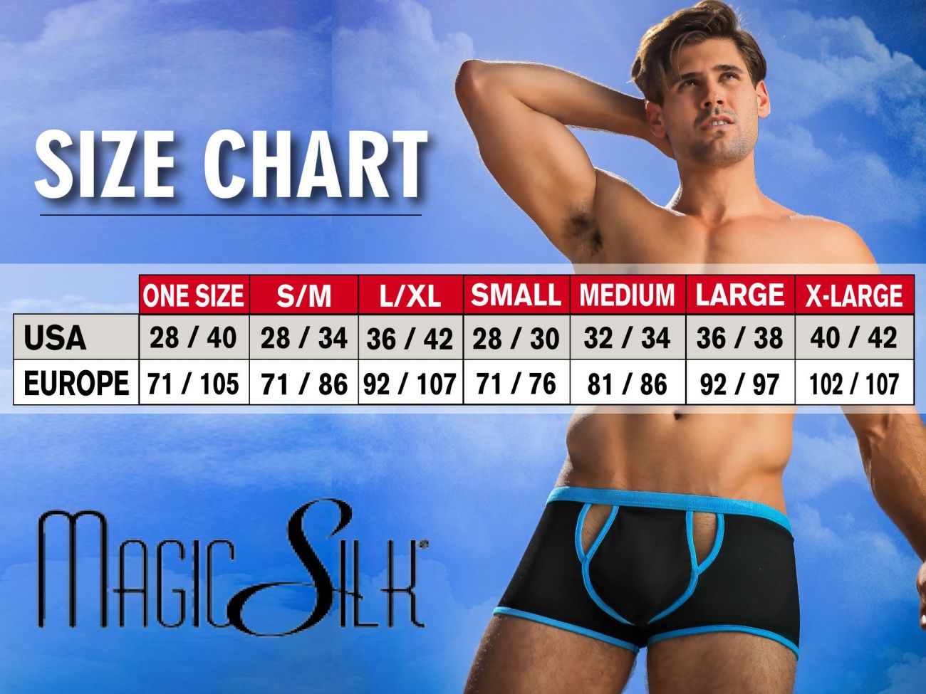 Magic Silk Men's Underwear 6606 Silk Briefs Color Black