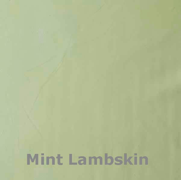 Leather Guayaberas Shirt - mint, view 7