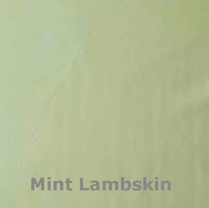 Leather Guayaberas Shirt - mint, view 7