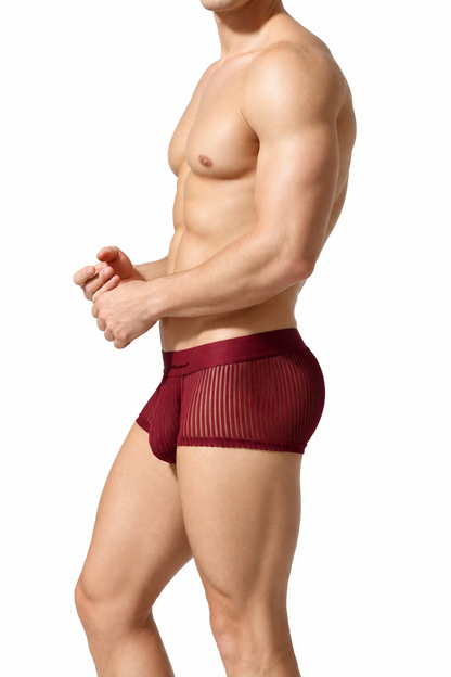 Men's Mesh Boxer Shorts - Sexy & Breathable