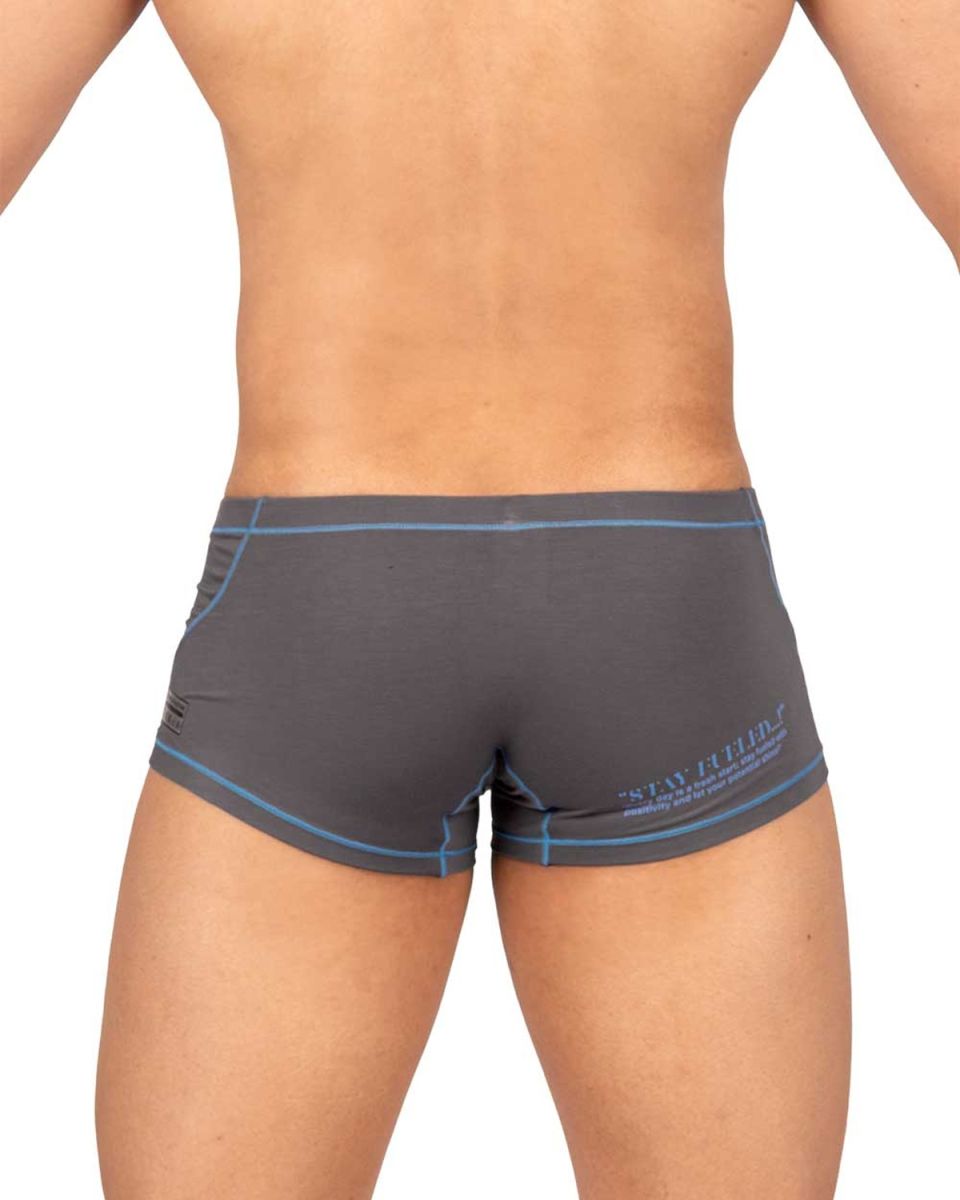 Private Structure Men's Underwear EPUS4570 Prime Elysian Hipster Color Gray