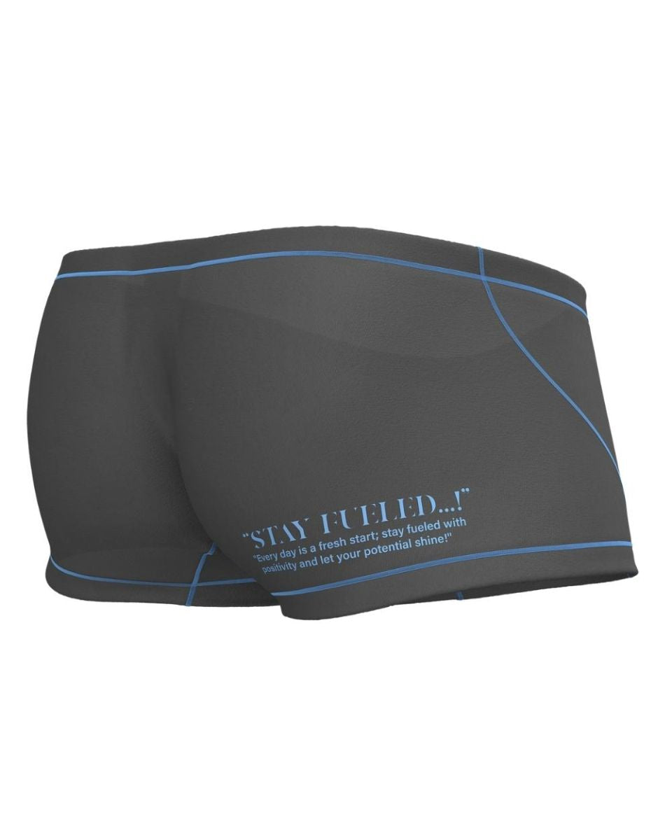 Private Structure Men's Underwear EPUS4570 Prime Elysian Hipster Color Gray