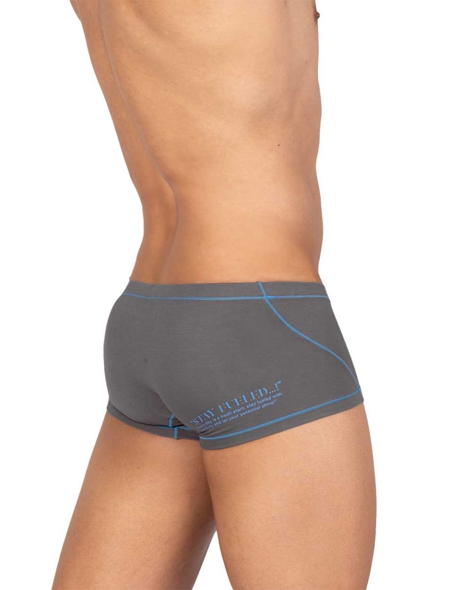 Private Structure Men's Underwear EPUS4570 Prime Elysian Hipster Color Gray