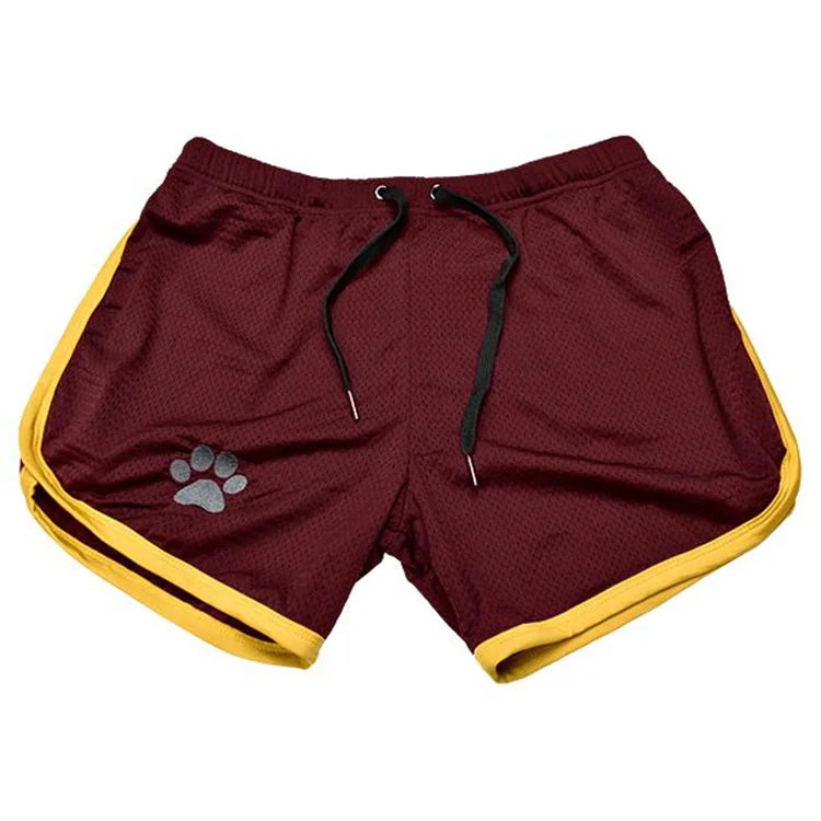 Gym Bear Shorts