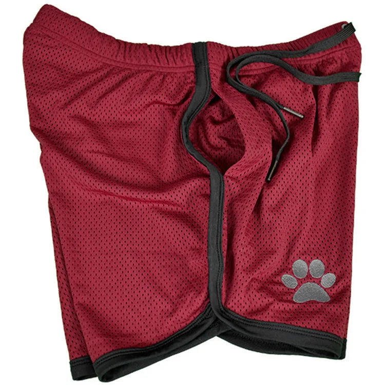 Gym Bear Shorts