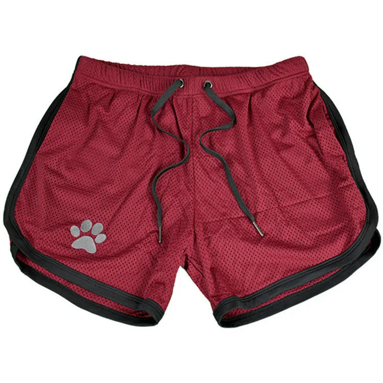 Gym Bear Shorts - view 9