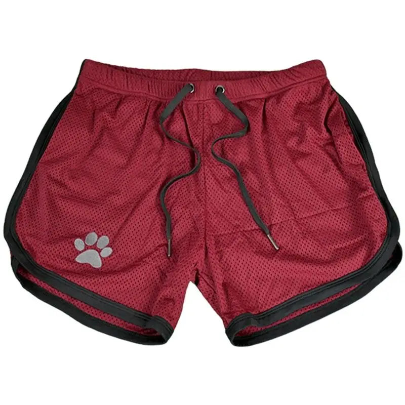 Gym Bear Shorts - view 20